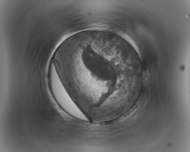 X0000098191099200805011118