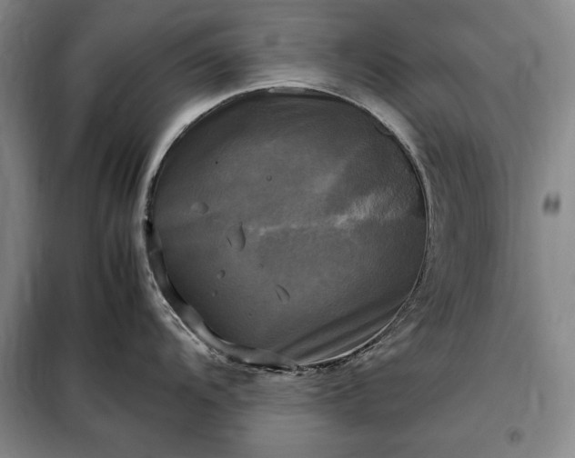 X0000098191104200805011118