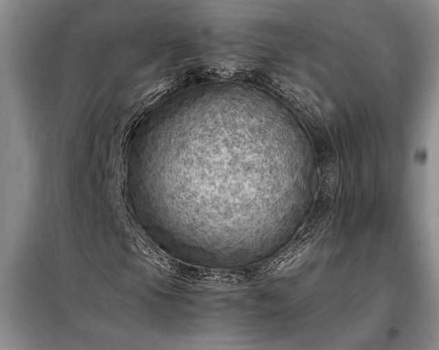 X0000098191105200805011117