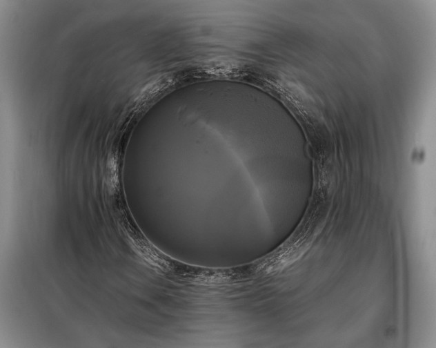 X0000098191106200805011117