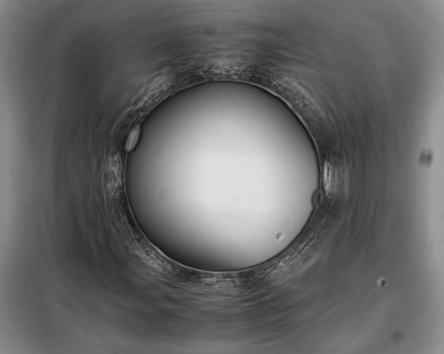 X0000098191107200805011117