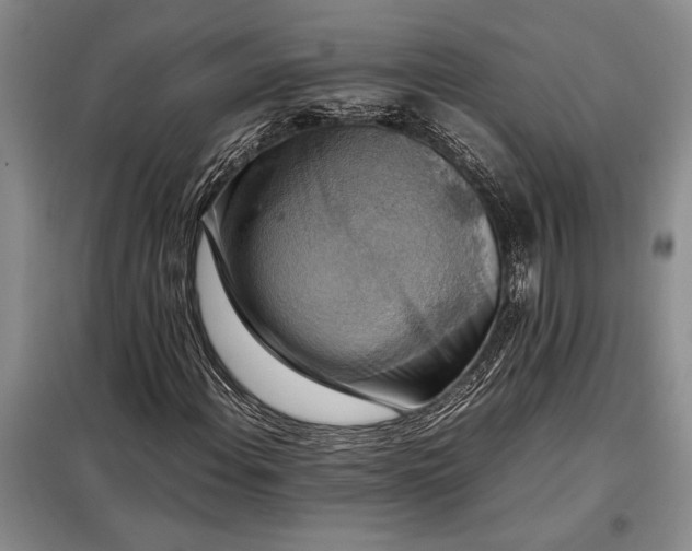 X0000098191108200805011117