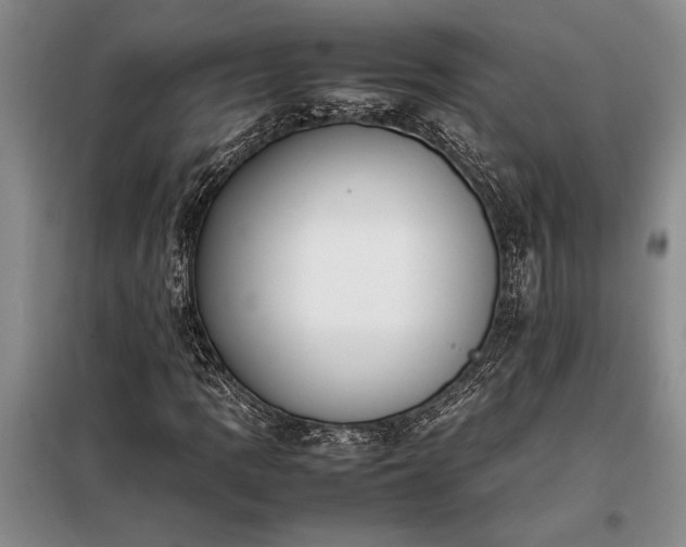 X0000098191109200805011117