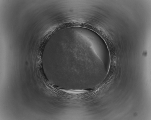 X0000098191110200805011117