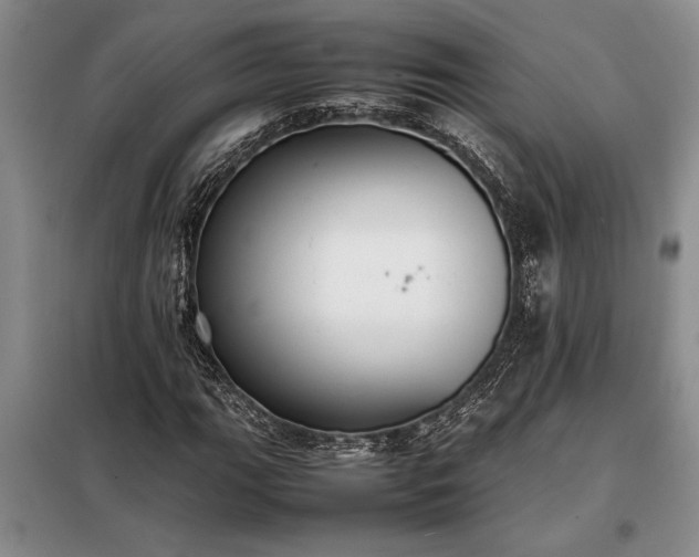 X0000098191111200805011117