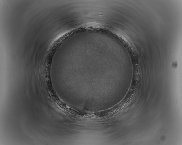 X0000098191112200805011117
