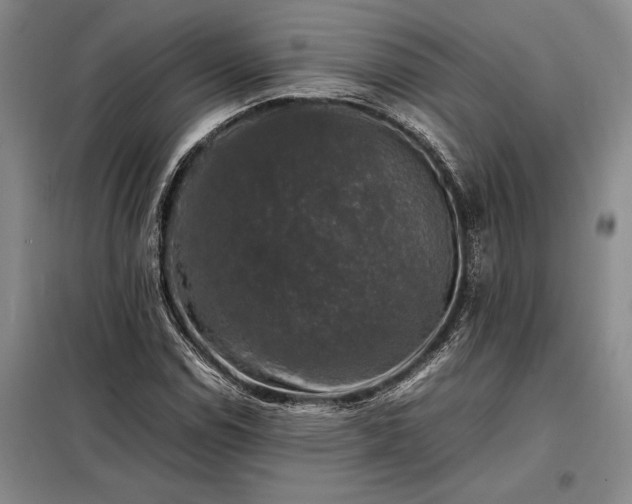 X0000098191114200805011117