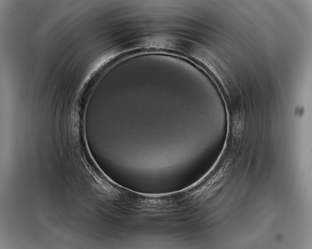 X0000098191115200805011117