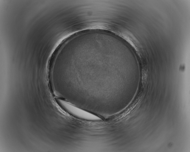 X0000098191116200805011117