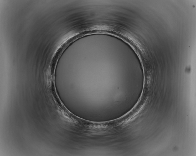 X0000098191117200805011117
