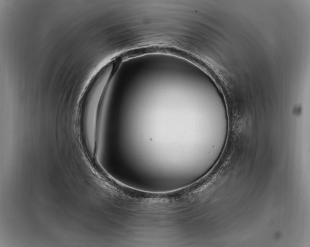 X0000098191118200805011117