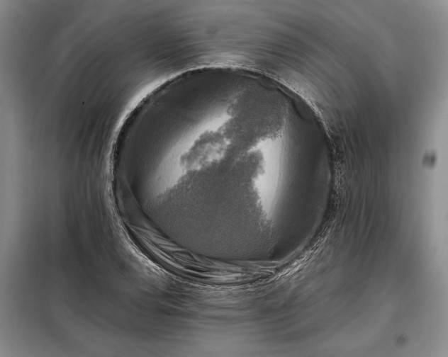 X0000098191120200805011117