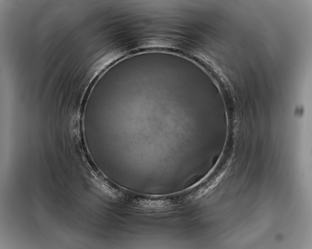 X0000098191121200805011117