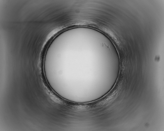 X0000098191122200805011117