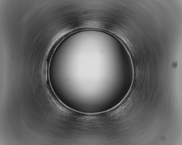X0000098191123200805011117