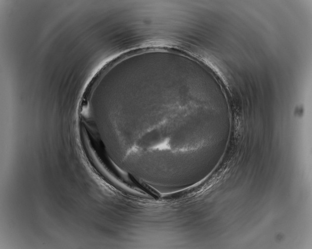 X0000098191124200805011117