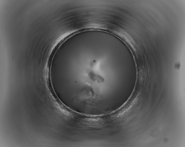 X0000098191125200805011117