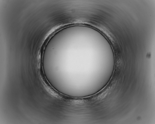 X0000098191126200805011117
