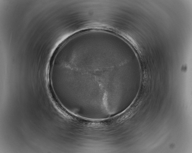 X0000098191128200805011117