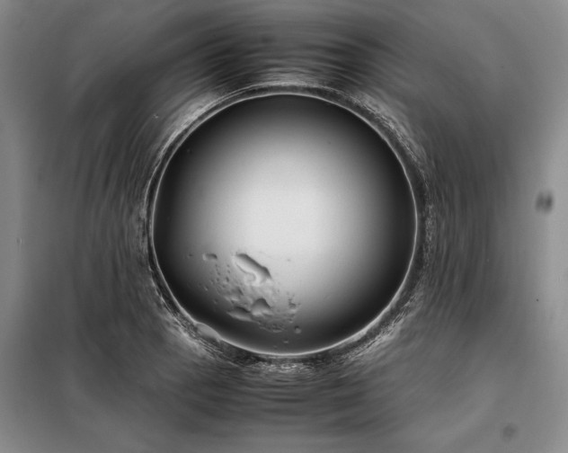 X0000098191129200805011117