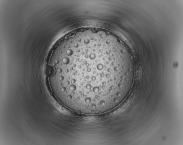 X0000098191130200805011117