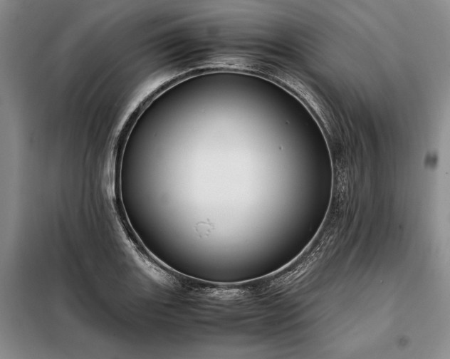 X0000098191131200805011117