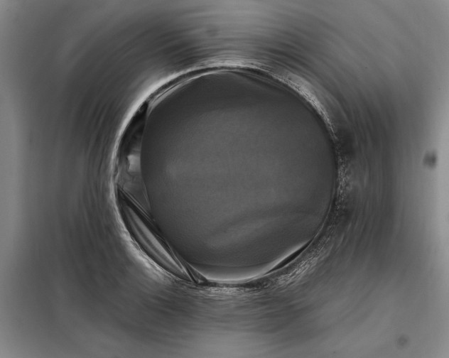 X0000098191132200805011117