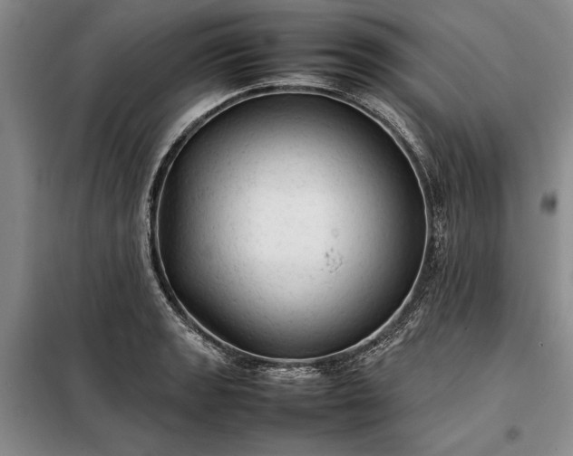 X0000098191133200805011117