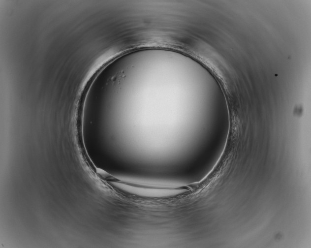 X0000098191138200805011117