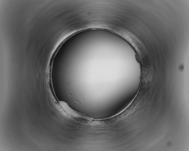 X0000098191140200805011117