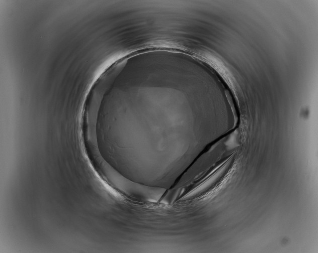 X0000098191141200805011117