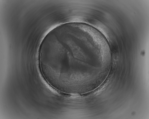 X0000098191142200805011117