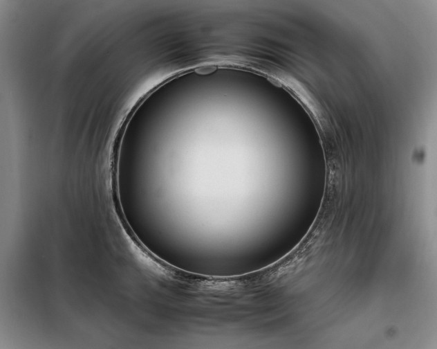 X0000098191143200805011117