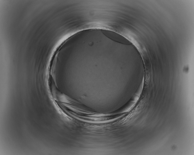 X0000098191144200805011117