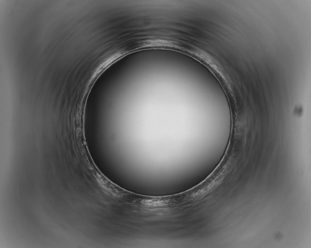 X0000098191145200805011117