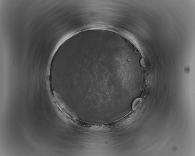 X0000098191146200805011117