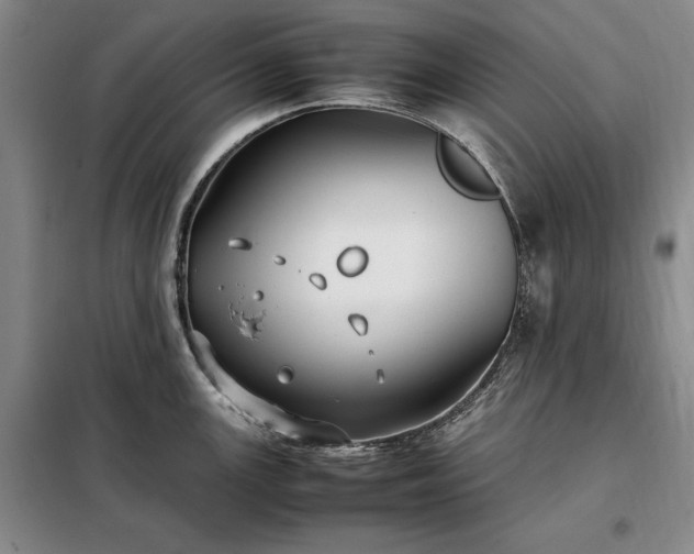 X0000098191147200805011117