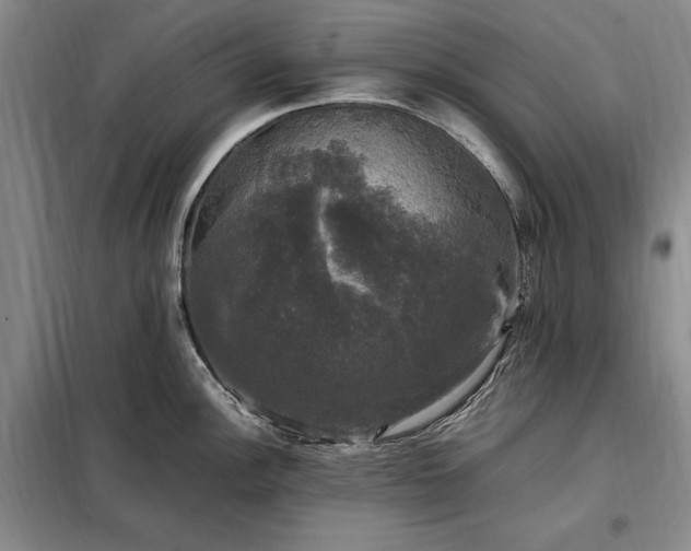 X0000098191148200805011117