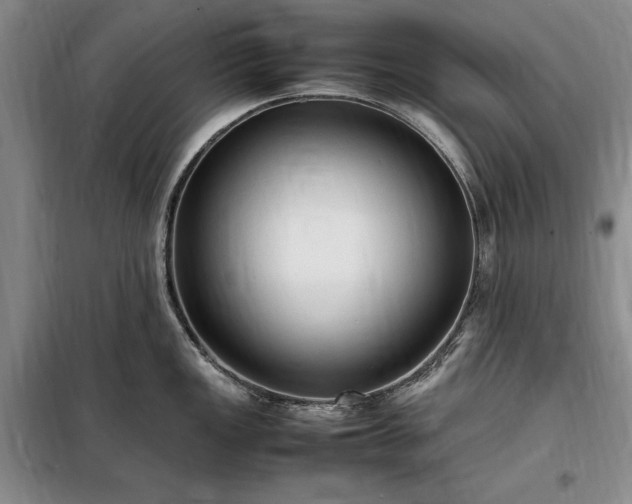 X0000098191149200805011117