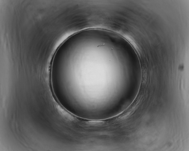 X0000098191151200805011117