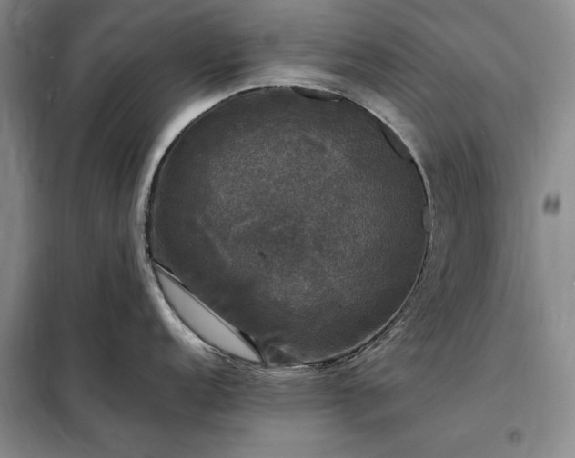 X0000098191152200805011118