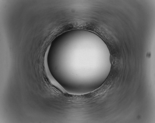 X0000098191153200805011117