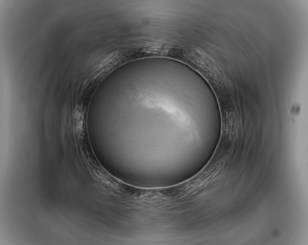 X0000098191154200805011117