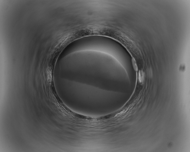 X0000098191155200805011117