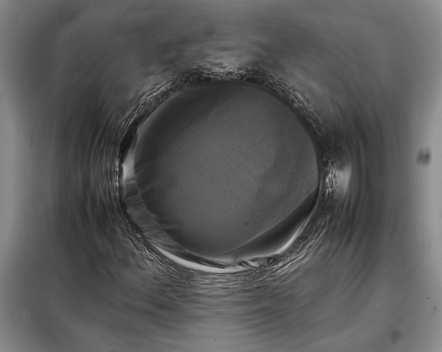 X0000098191156200805011117