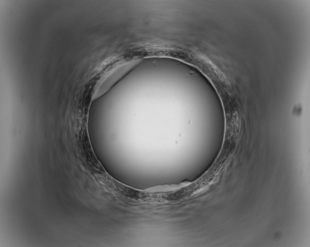 X0000098191157200805011117