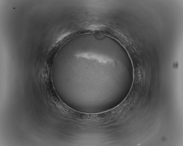 X0000098191158200805011117