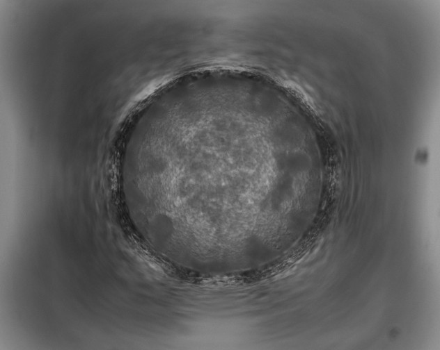 X0000098191159200805011117