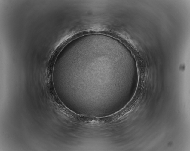 X0000098191160200805011117