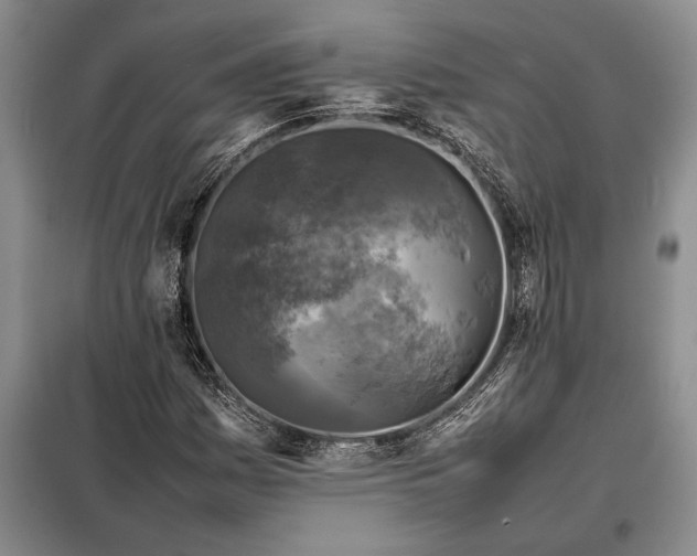 X0000098191161200805011117